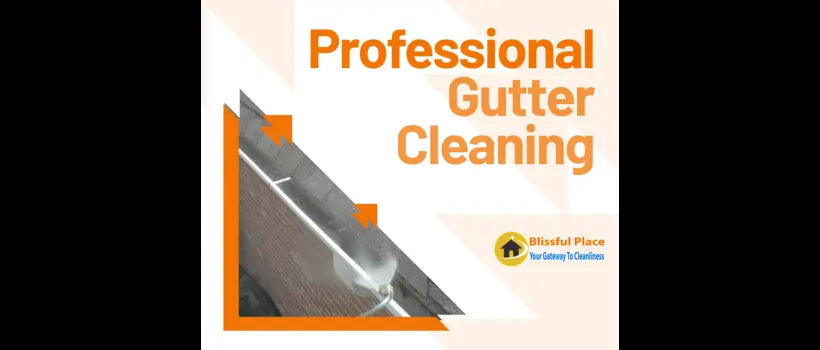 Best Practices, Technologies, and Techniques for Professional Gutter Cleaning in 2025
